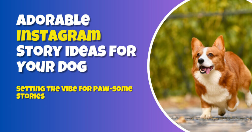 Adorable Instagram Story Ideas for Your Dog