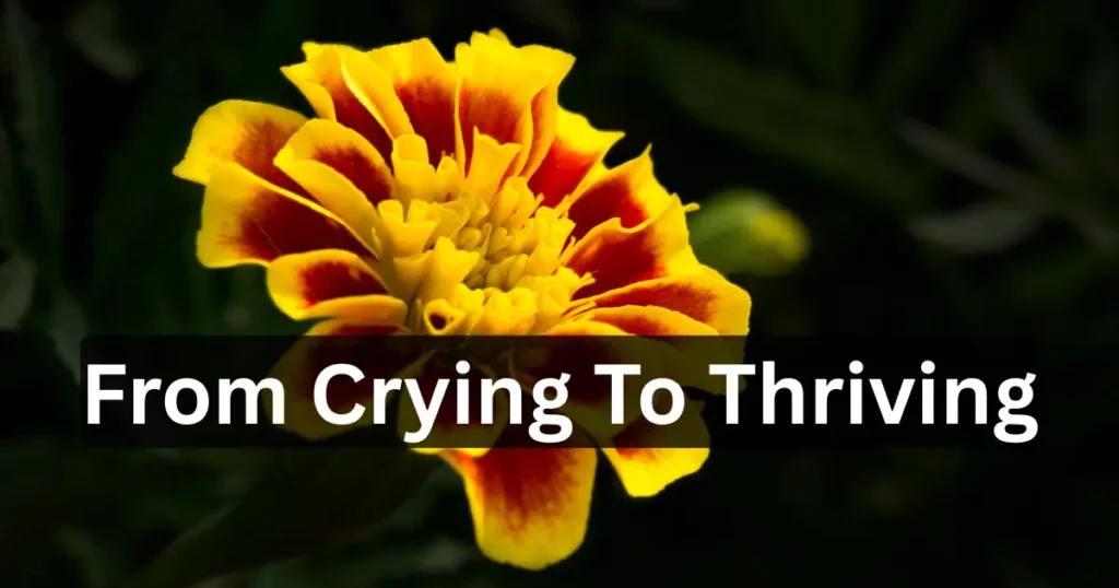 Dalagang Filipina Captions